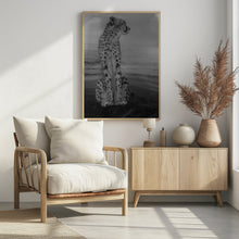 Art Prints of Cheetah on the Watch