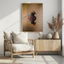 Art Prints of Horned grebe with reflection on a mirror like pond