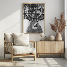 Art Prints of Winter Deer