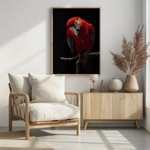 Art Prints of Portrait of Scarlet Macaw