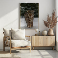 Art Prints of Meet the lynx