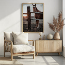 Art Prints of Horse Farm in Skároš, Slovakia