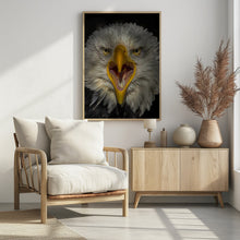 Art Prints of Eagle