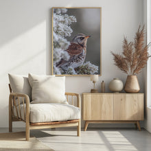 Art Prints of Fieldfare in a winter setting