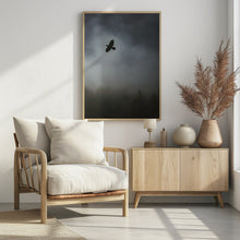 Art Prints of In Flight