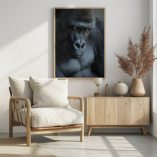 Art Prints of Unhappy Gorilla