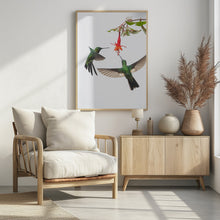 Art Prints of Two hummingbirds at a flower