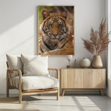 Art Prints of The Tiger Portrait