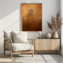 Art Prints of Long-legged Buzzard