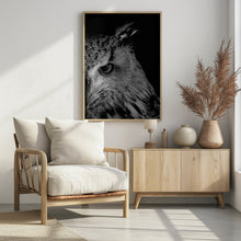 Art Prints of glint in eye