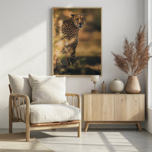 Art Prints of Camuflage