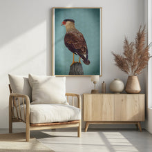 Canvas Art Print Carancho