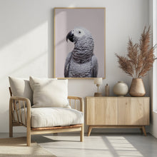 Canvas Art Print African Grey