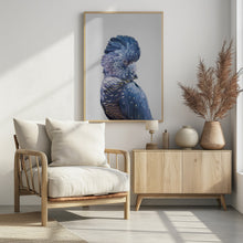 Canvas Art Print Black Cockatoo