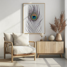 Canvas Art Print Peacock Feather