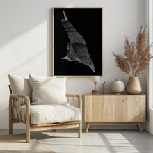 Canvas Art Print The Dive