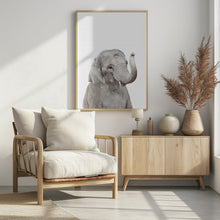 Canvas Art Print Baby Elephant