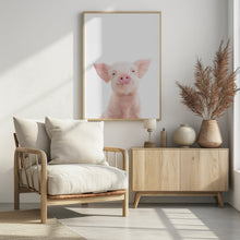 Canvas Art Print Baby Pig