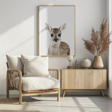 Canvas Art Print Baby Deer