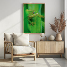 Canvas Art Print Curiosity