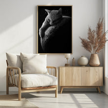 Canvas Art Print mooncat