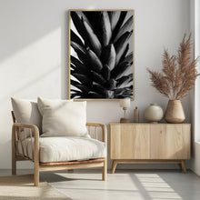 Art Prints of Pine B&w