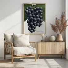 Art Prints of Campbell's Early Grape Lithograph