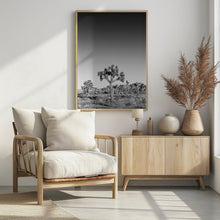 Art Prints of Joshua Trees - monochrome