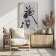 Art Prints of Palm trees in the sun | monochrome