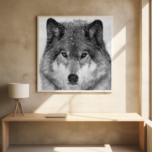 Art Prints of Wolf Portrait