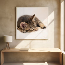 Art Prints of Kitten