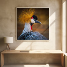 Art Prints of Black crowned crane