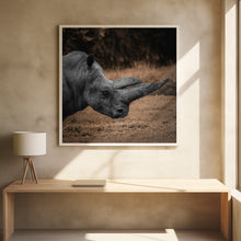 Art Prints of Rhinoceros