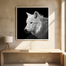 Art Prints of White Wolf #2