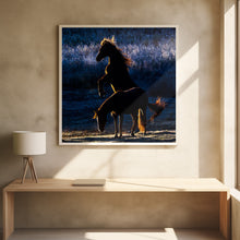 Art Prints of Horses