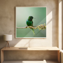 Canvas Art Print Discosura conversii