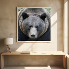 Canvas Art Print The Bear's look