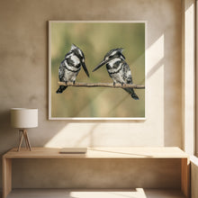 Canvas Art Print Pied kingfishers