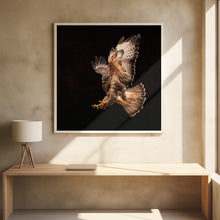 Canvas Art Print Buzzard going for a catch