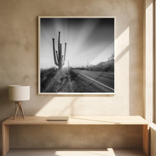 Art Prints of SAGUARO NATIONAL PARK Setting Sun | Monochrome