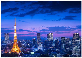 Art Prints of Tokyo night view