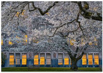 Art Prints of Morning at University of Washington