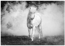 Art Prints of Icelandic pony