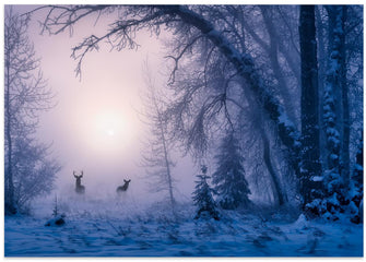 Art Prints of The shadow of deer in the morning fog