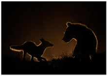 Art Prints of Encounter at night