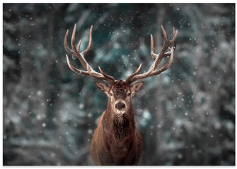 Art Prints of Deer King