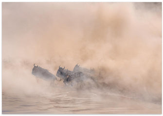 Art Prints of Great migration (crossing river)