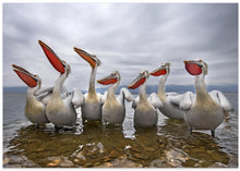 Art Prints of Waiting for a fish