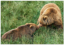 Art Prints of Loving bears