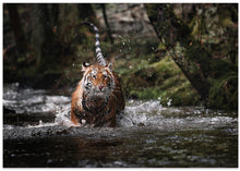 Art Prints of Big cat in creek